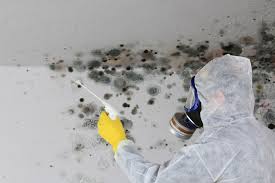 Mold Removal for HVAC Installations in Mckinney, TX